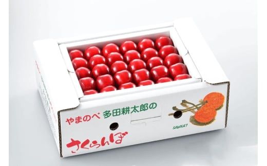 《先行予約》2025年 山形県産 紅秀峰 本詰め 約500g L~2L やまのべ多田耕太郎のさくらんぼ サクランボ F20A-046