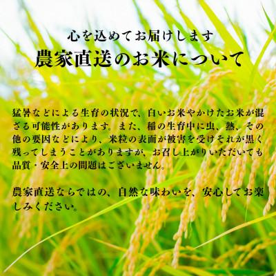 ふるさと納税 小浜市 【令和8年産】福井県産ふくむすめ　特別栽培米　精米10kg　11月以降発送　今富の宝 |  | 03
