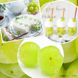 【2025年先行予約】［大原観光果樹園］瀬戸ジャイアンツ  3〜4房（約2kg）［026-a016］