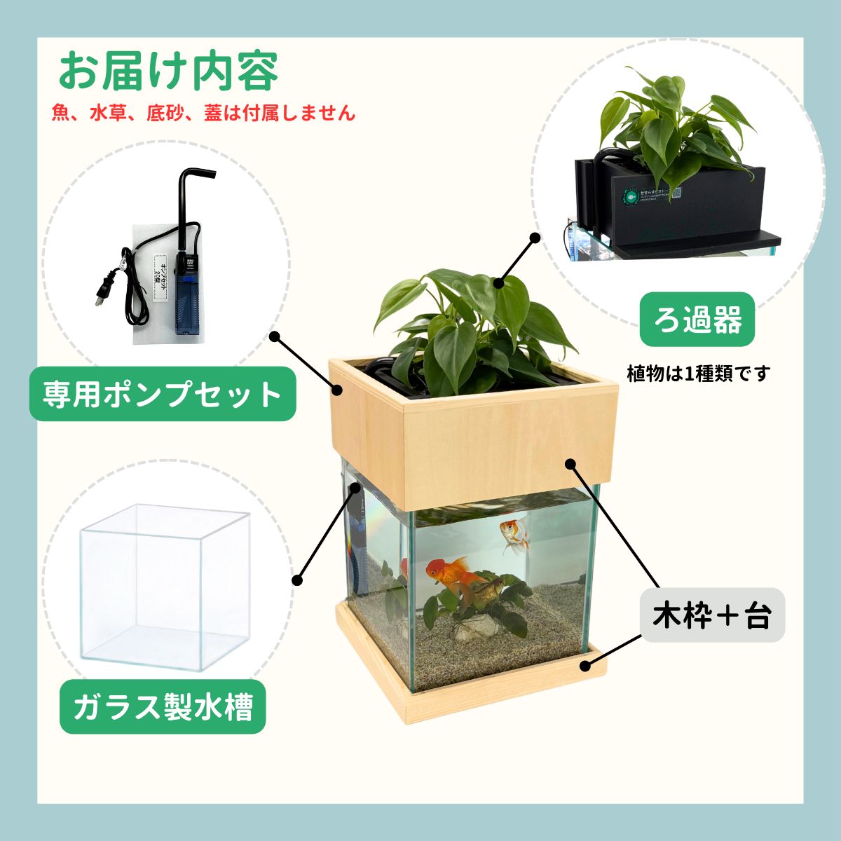せせらぎビオトープ　20cm型基本+木枠台セット
