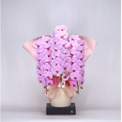 ふるさと納税 有田市 フォアスPREMIUM胡蝶蘭3本立ち45リン以上　ピンク