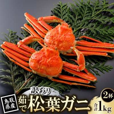 
                  ＜先行予約＞鳥取県産 訳あり 茹 松葉がに 500g×2杯(中村商店)2026年11月発送【1654061】
                