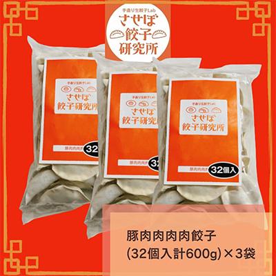 ふるさと納税 佐世保市 【毎月定期便】させぼ餃子研究所 豚肉肉肉肉餃子 計96個×全12回 |  | 01