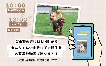 【海を一望できるドッグラン 利用チケット】ホテル ワイド2頭 1泊2日 犬 ペット ペットホテル 犬用ホテル 超小型犬 小型犬 中型犬 dog わんちゃん 愛犬 イヌ 宿泊 ドッグラン 常滑市 空港に