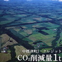 【ふるさと納税】中標津町Jクレジット CO2削減量1t カーボンオフ 地球温暖化防止 間伐促進 環境保全クレジット 木製コースター 雑貨 日用品 コースター ふるさと納税 北海道 中標津町 中標津 【38001】