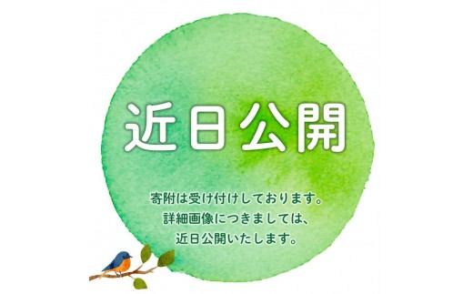 
                  ＜選べる回数＞五ヶ山 アイスキャンデー 20本セット
                