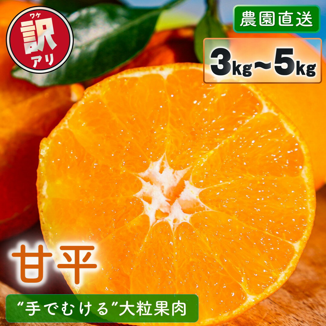 【ふるさと納税】 【2027年2月上旬頃から順次発送】 訳あり 農園直送 甘平 3kg / 5kg | かんぺい 甘平 みかん 柑橘 mikan ミカン 蜜柑 希少 高級柑橘 手でむける みかん 果物 フルーツ 愛媛県 松山市
