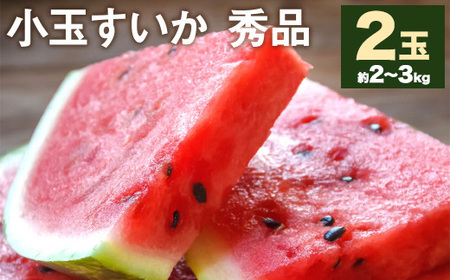 小玉すいか 秀品 2玉 約2～3kg 【5月下旬-7月下旬頃発送予定】