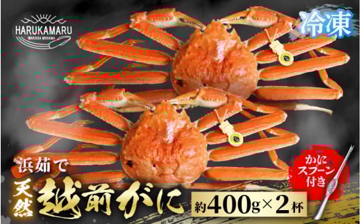 【先行予約】はるか丸厳選！≪浜茹で≫ 越前がに 約400g × 2杯 【冷凍】(カニスプーン付き) 【2025年11月下旬以降順次発送予定】【急速冷凍 ボイル 越前ガニ 蟹 茹で ずわいがに ズワイガニ 地物 天然 本場の味】 [m36-f002]