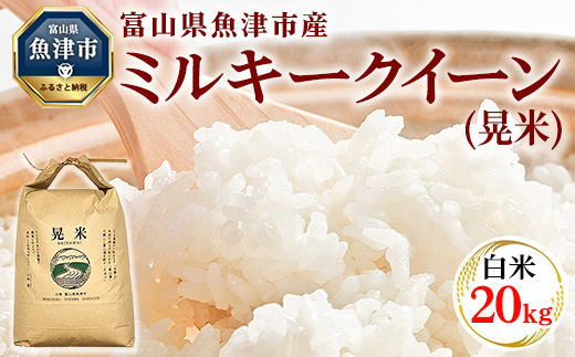 【令和6年度米】環境配慮「魚津のミルキークイーン（晃米）」20kg（白米） ｜ MK農産 白米 銘柄米 ブランド米 ご飯 おにぎり お弁当 和食 主食 国産 産地直送 甘み 香り もちもち ※2024