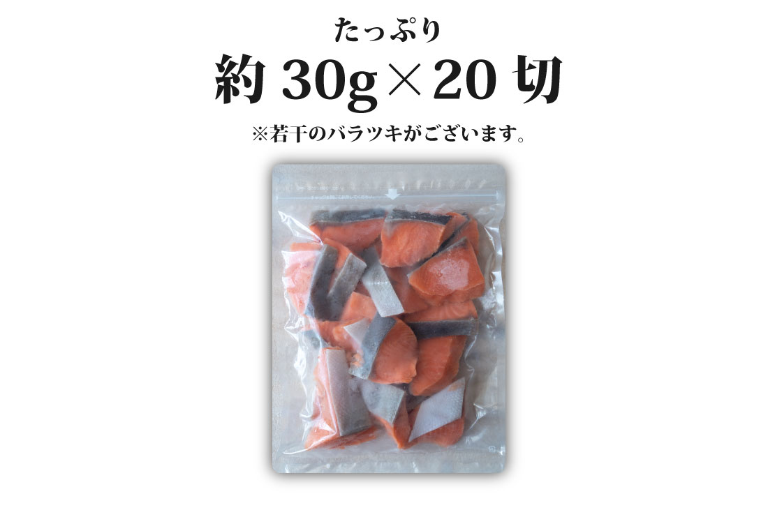 センシン食品　※無塩※ 銀鮭切り身 30g×20枚　チャックポリ入り