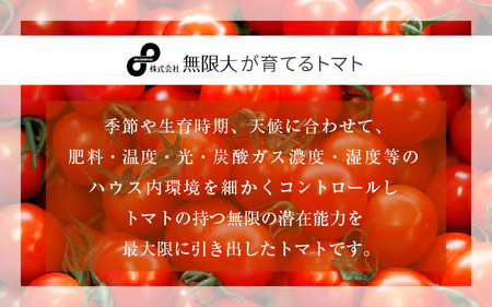 じゅわっと極旨のフルーツミディトマト  (バラ箱詰め) 約2kg（1kg×2箱）幸せ寄附額  とまと トマト フルーツトマト ミディトマト ミニトマト トマトジュース 野菜 やさい 人気 新鮮 産地直
