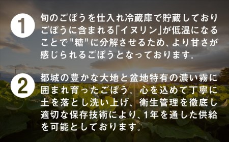 ごぼう茶 300g_MJ-J601_(都城市) ごぼう茶 300g 都城産 添加物無し ティーパック不使用