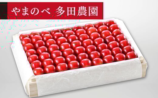 ≪2025年 先行予約≫さくらんぼ 特選「真夏のルビー紅姫」桐箱詰 約1100g「やまのべ多田農園」 F2Y-1400