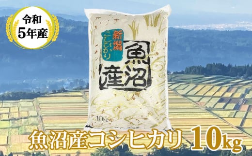 r05-23-1KY 【共栄農工社】令和5年産 魚沼産コシヒカリ10kg 白米 魚沼 米