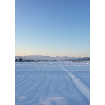 ふるさと納税 十日町市 【令和7年産】魚沼川西産こしひかり　鶴の米5kg(精米) |  | 03