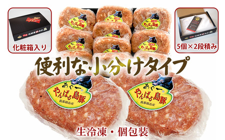 ハンバーグ やんばる島豚あぐーハンバーグ（150g×10個）