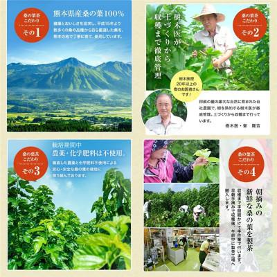 ふるさと納税 合志市 樹木医が育てた桑の葉茶(粉末)50g×3袋 |  | 02