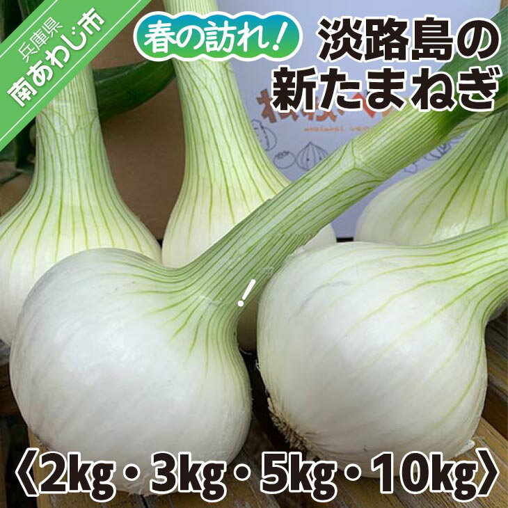 【ふるさと納税】【量が選べる！新玉予約！】春の訪れ！淡路島の新たまねぎ◆配送2月～5月下旬