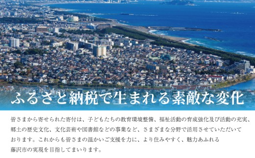 こども達のためのこども支援活動 活動支援 ～長後こども食堂&藤沢こどもハウス～ 交流 居場所 返礼品なしのご寄附 ことりのおうち 食べ物以外 10000円 1万円 子ども支援 子ども 子供 ボランティ