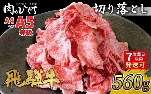 【6月発送】飛騨牛 切り落とし 560g A5 A4 国産 牛 冷凍 お試し 和牛 牛肉 切落し 切り落し 薄切り 訳あり 牛丼 すき焼き しゃぶしゃぶ 東白川村 岐阜 飛騨 贅沢 霜降り ロース バラ もも ウデ 肉のひぐち 10000円 一万円