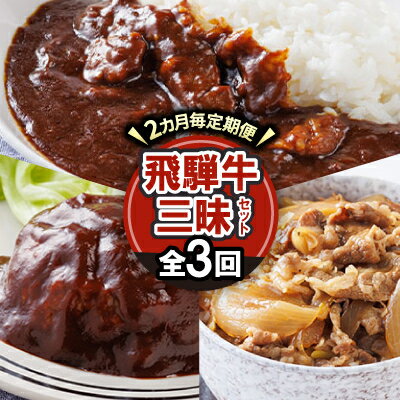 【ふるさと納税】【2ヵ月毎定期便】レビューキャンペーン中!飛騨牛三昧(ハンバーグ・カレー・牛丼の冷凍食品3種)全3回【配送不可地域：離島】【4079778】
