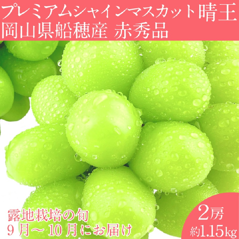 
                  【2026年 予約受付中】 プレミアム シャインマスカット 晴王 2房約1.15kg/ 岡山県 船穂産 赤秀品 種無し 皮ごと食べる みずみずしい 9月10月にお届け フレッシュ 晴れの国 おかやま 果物大国 彩美菜果
                