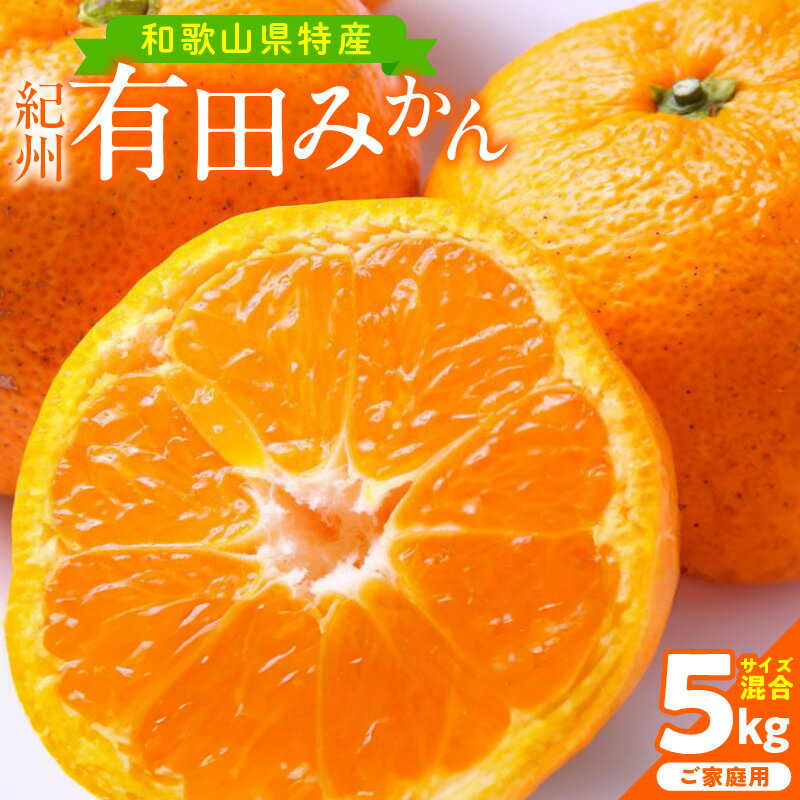 【ふるさと納税】【限定】 【2025年先行予約】 【家庭用】 和歌山 有田みかん 5kg (サイズ混合) 【ミカン 蜜柑 柑橘 温州みかん 有田みかん】