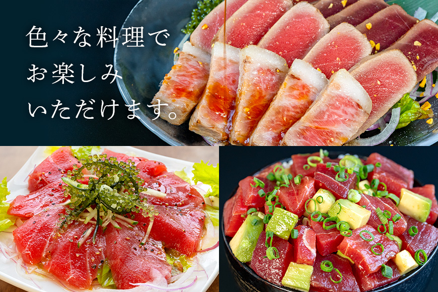 沖縄県産「旬の天然本マグロ」をお届け！切り落としセット 1.2kg