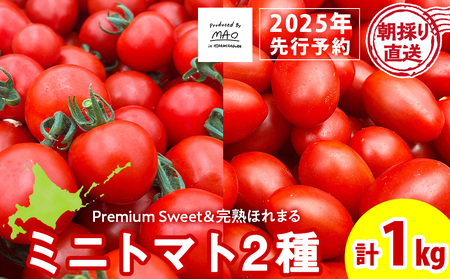 【2025年先行予約】 朝採りフルーツミニトマト＆完熟ほれまる ミニトマト 1kg ミニトマト 朝採り 新鮮 生鮮 野菜 トマト 北海道ふるさと納税