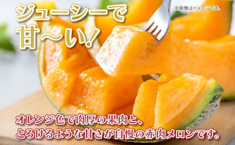 北海道 新しのつ産 赤肉メロン 2玉 約4kg メロン 果物 フルー