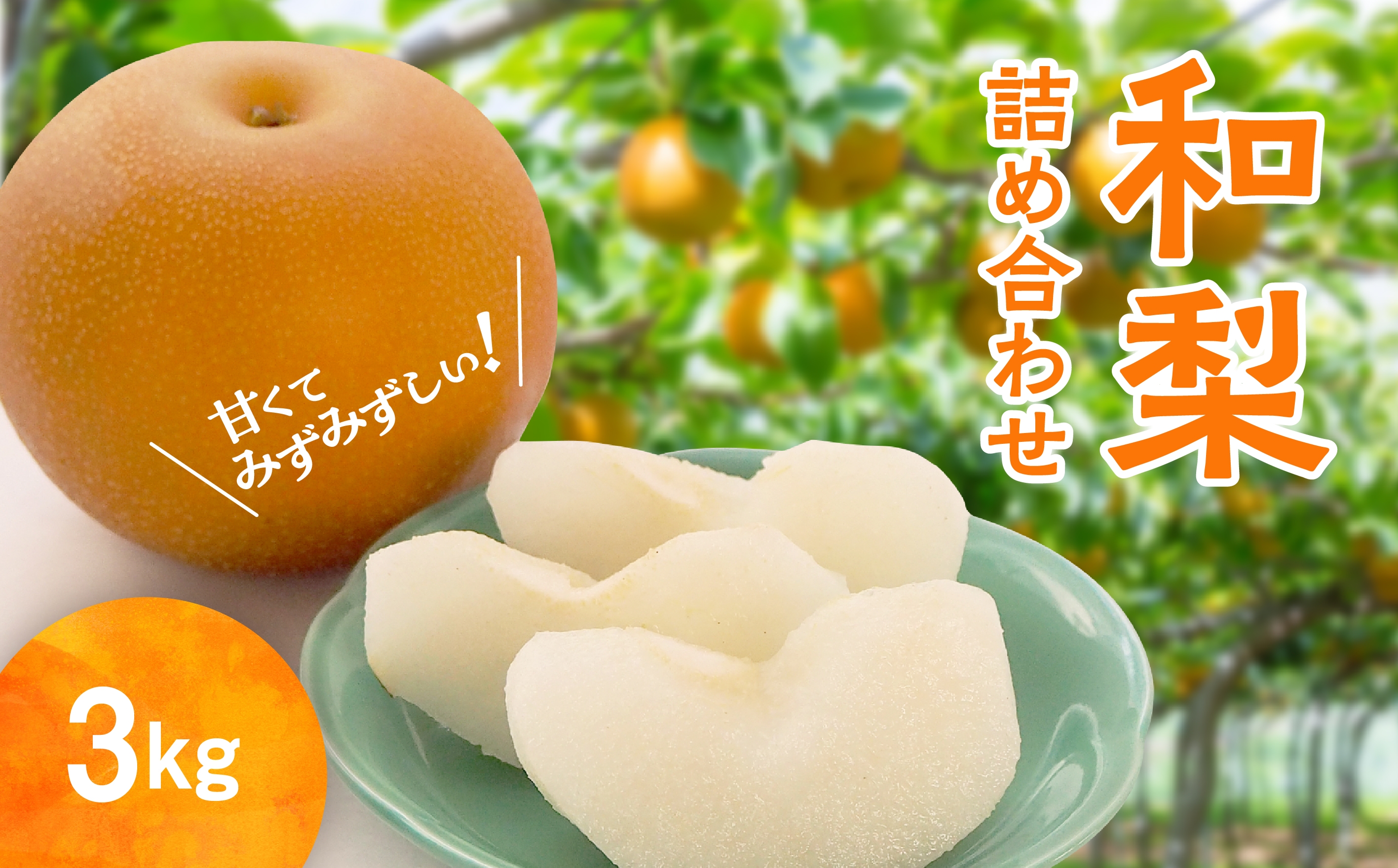
                  【先行予約】和梨 詰め合わせ 3kg 旬 甘い くだもの 果物 フルーツ なし ナシ グルメ 人気 おすすめ ランキング 故郷 ふるさと 納税 秋田 秋田県 潟上 潟上市 【舘岡果樹園】
                