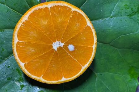 【2026年発送】家庭用・訳あり 屋久島産たんかん5kg満杯箱(M～3Lサイズ混合・約30玉前後)