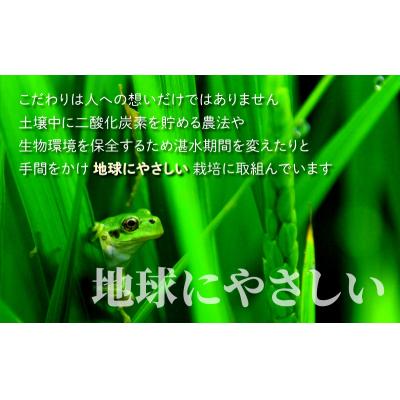 ふるさと納税 大野市 地球にやさしいパックご飯 20食入り【白米】 「特別栽培米」-地球にやさしいお米- |  | 03