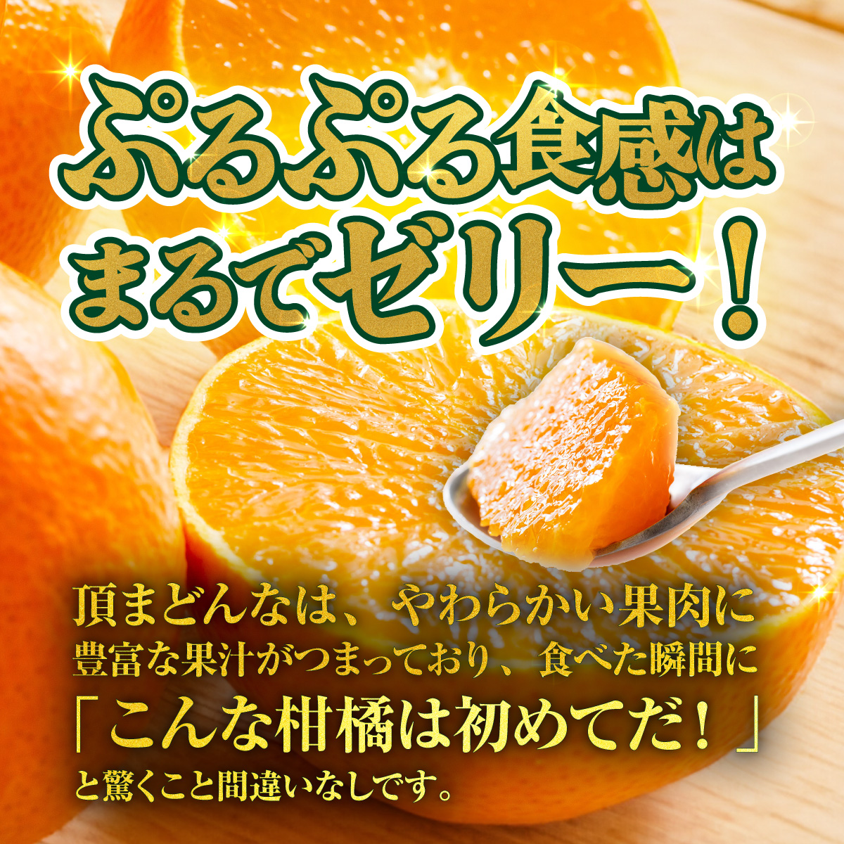 ＜【訳あり】愛媛県産 頂まどんな 約1.5kg＞『2026年11月下旬～1月上旬迄順次発送予定』 わけあり 訳アリ 甘い とろける 食感 ゼリー食感 高級柑橘 みかん 蜜柑 果物 くだもの フルーツ 