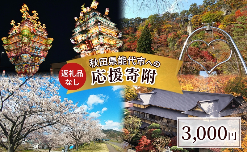 
            【返礼品なし】秋田県能代市への寄付 応援 支援 寄附のみ 3,000円【能代市ふるさと納税】
          
