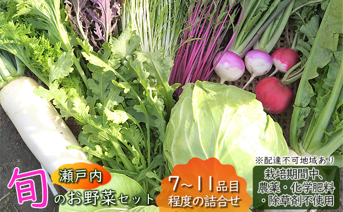 瀬戸内「旬」のお野菜セット 7～11品目程度の詰合せ 野菜 農薬 化学肥料 除草剤不使用 岡山 M’s farm