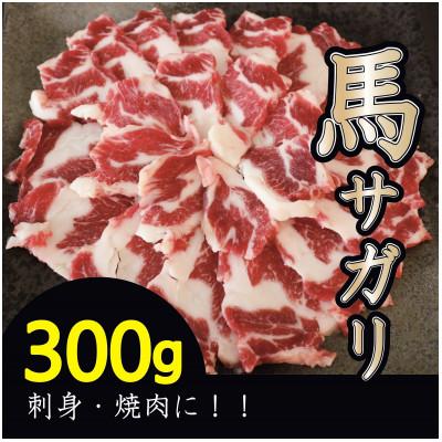 ふるさと納税 多良木町 【熊本　と畜】馬肉　サガリ　カルビ焼肉用(ヒモ肉)　300g(多良木町)