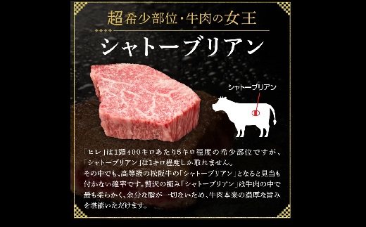 松阪牛 A5 シャトーブリアンステーキ 360g（120g×3枚）【7.2-4】