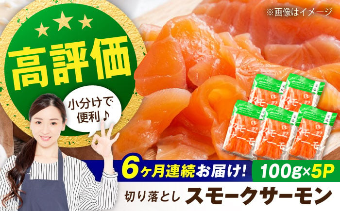 
            【定期便】スモークサーモン （切り落とし）100ｇ×5パック×6回　滋賀県長浜市/株式会社中村屋 [AQAJ021]
          