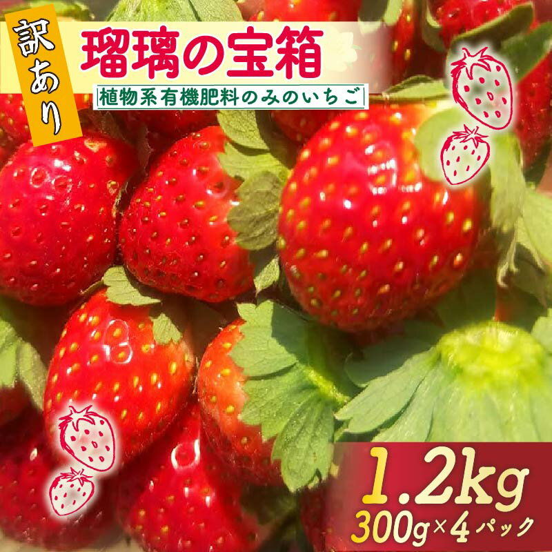 【ふるさと納税】【先行予約】 訳あり いちご 計 1.2kg 300g×4パック 瑠璃の宝箱 オーガニックイチゴ 有機 JAS 植物系有機肥料 苺 オーガニック ストロベリー ベリー 国産 ブランド 新鮮 産地 直送 フレッシュ 人気 おすすめ ふるさと納税 京都 八幡 八幡市 かみむら農園