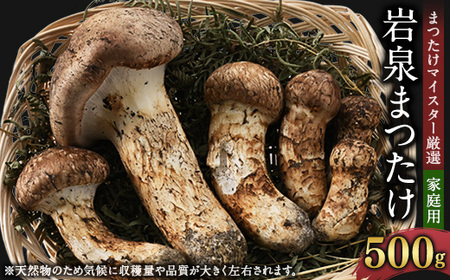 【自家用】岩泉まつたけ 500g_野菜 松茸 きのこ まつたけ マツタケ_【配送不可地域：離島】【1421552】