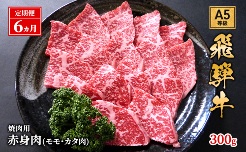 【定期便6ヶ月】牛肉 飛騨牛 焼き肉 セット 赤身 モモ 又は カタ 300g 黒毛和牛 Ａ5 美味しい お肉 牛 肉 和牛 焼肉 BBQ バーベキュー 【岐阜県池田町】