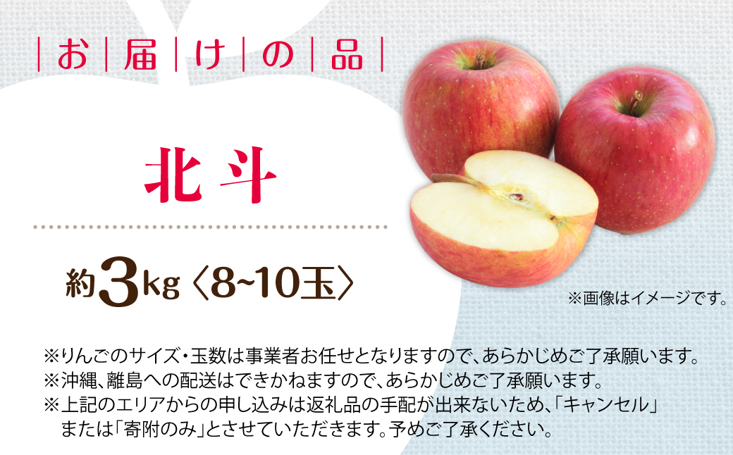 【先行予約】＜2026年11月中旬よりお届け＞北海道壮瞥町　りんご　品種名「北斗」8～10玉約3kg SBTF022