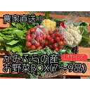 【ふるさと納税】【2024年8月上旬頃から発送】農家直送！ミニトマト500g入り！朝採れ新鮮夏野菜ボックスL（7～9品入り）　【野菜・セット・詰合せ・ミニトマト・夏野菜】　お届け：2024年8月1日～2024年9月15日