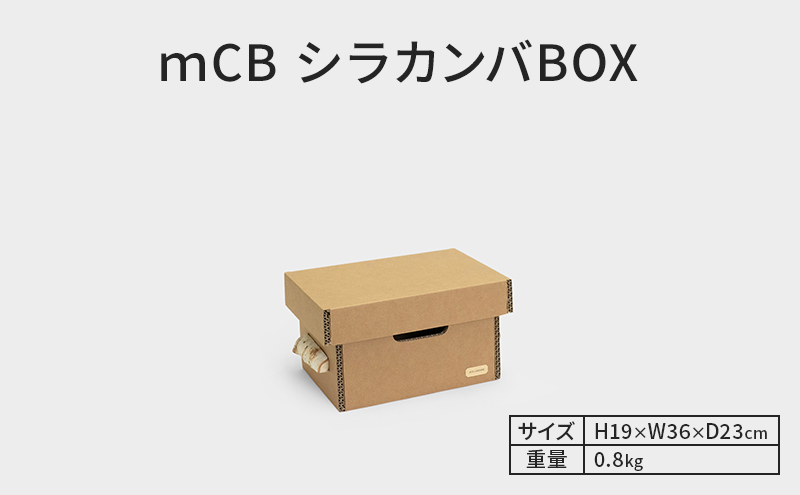 ｍCB シラカンバ BOX 12.3インチ _No.1604177