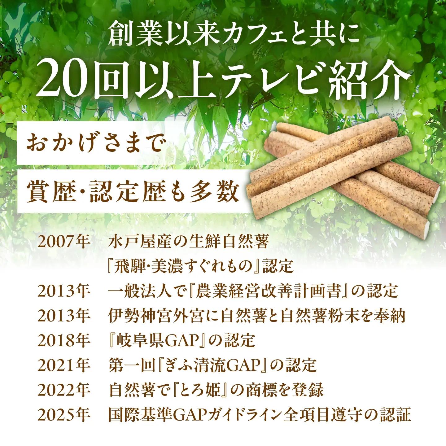 自然薯 冷凍 とろろ 2パック（計360g）/ 恵那市 / 水戸屋 [AUFZ002] とろろ