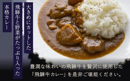 本格飛騨牛レトルトカレー 230g×5個 | 飛騨牛 レトルトカレー 贅沢 カレー 本格 中辛 ビーフカレー 便利 簡単調理 高山市 高山フローラ b570