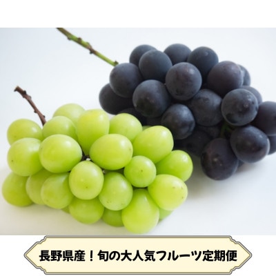 【発送月固定定期便】長野の果物 種なし巨峰+シャインマスカット全2回【配送不可地域：離島】【4081270】