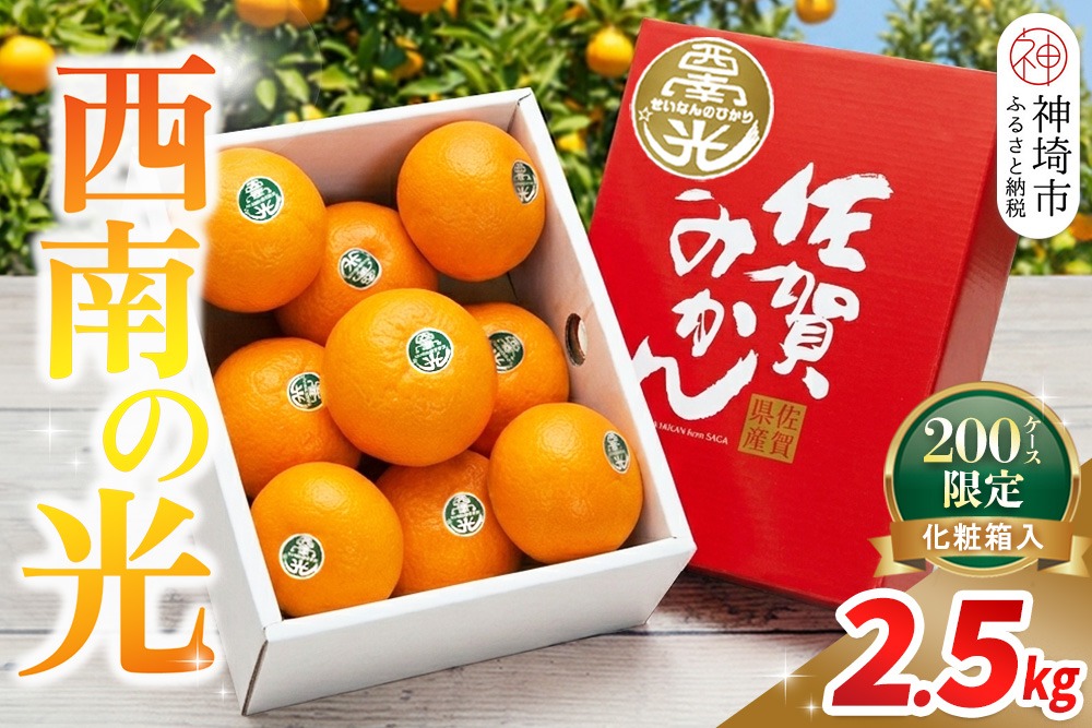 【2026年12月上旬より発送開始】西南の光 2.5kg(化粧箱入り)【みかん 柑橘 フルーツ デザート βクリプトキサンチン 手土産】(H116150)